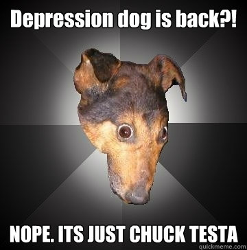 Depression dog is back?! NOPE. ITS JUST CHUCK TESTA  Depression Dog