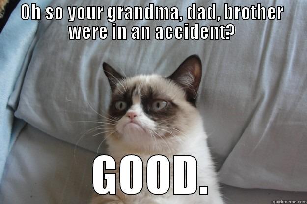 OH SO YOUR GRANDMA, DAD, BROTHER WERE IN AN ACCIDENT? GOOD. Grumpy Cat