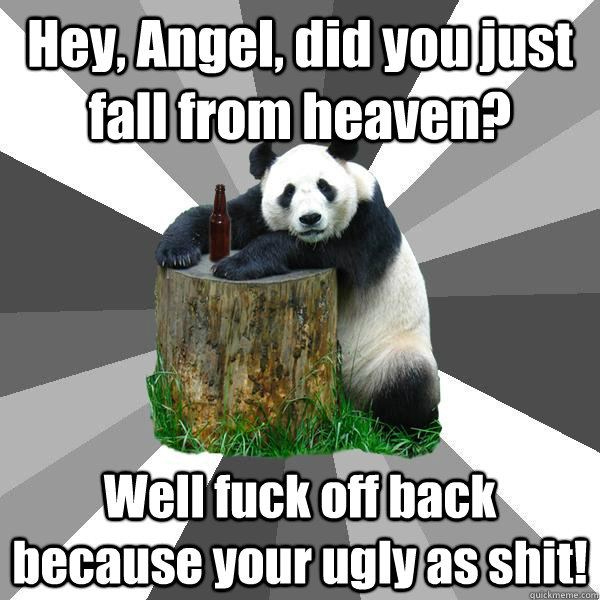 Hey, Angel, did you just fall from heaven? Well fuck off back because your ugly as shit!  Pickup-Line Panda