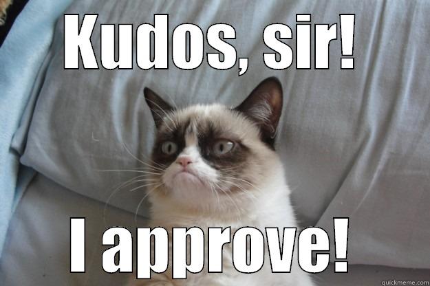 Seal of Disapproval - KUDOS, SIR! I APPROVE! Grumpy Cat