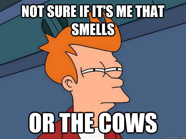 Not sure if it's me that smells Or the cows - Not sure if it's me that smells Or the cows  Futurama Fry