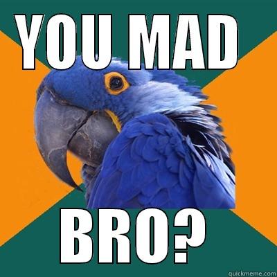 he is mad - YOU MAD  BRO? Paranoid Parrot