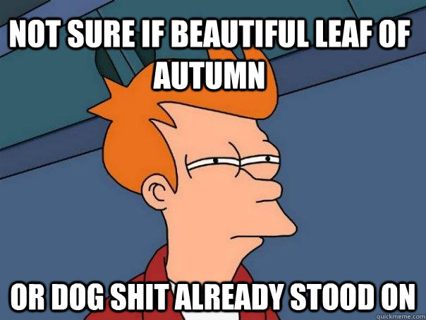 not sure if beautiful leaf of autumn Or dog shit already stood on   Futurama Fry