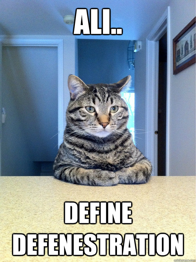 Ali.. Define Defenestration  - Ali.. Define Defenestration   Chris Hansen Cat