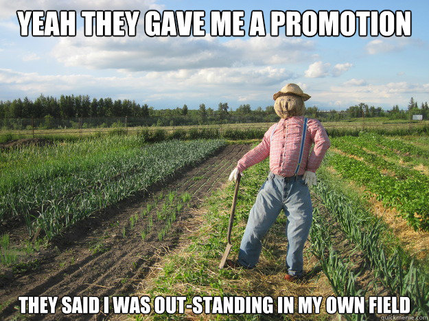 Yeah they gave me a promotion They said I was out-standing in my own field  Scarecrow