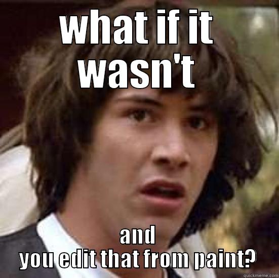 WHAT IF IT WASN'T AND YOU EDIT THAT FROM PAINT? conspiracy keanu