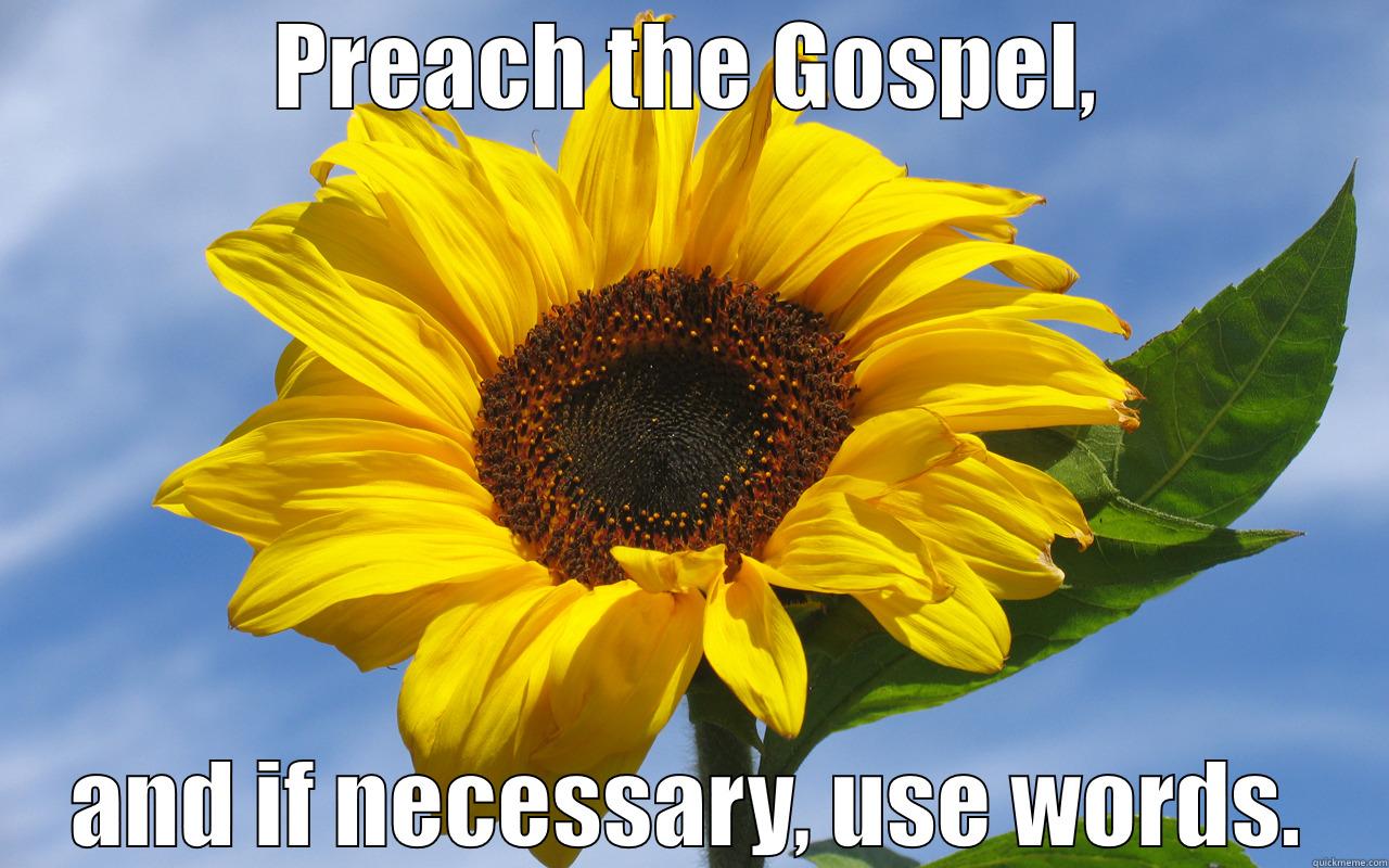 PREACH THE GOSPEL, AND IF NECESSARY, USE WORDS. Misc