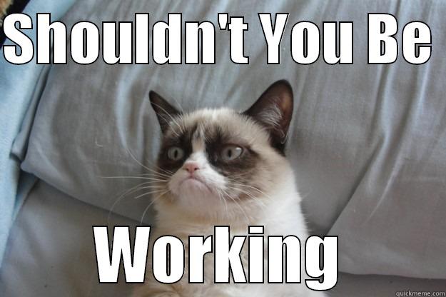 SHOULDN'T YOU BE  WORKING Grumpy Cat