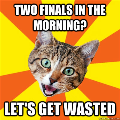 two finals in the morning? let's get wasted  Bad Advice Cat