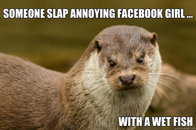 Someone slap annoying facebook girl ... with a wet fish - Someone slap annoying facebook girl ... with a wet fish  scowling otter