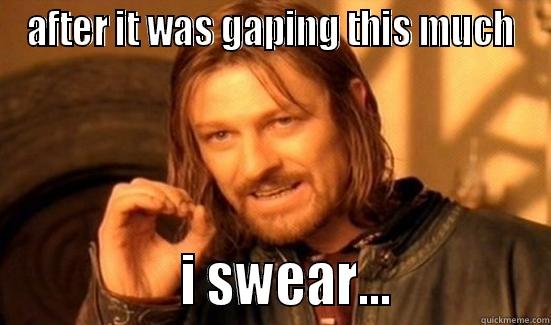 AFTER IT WAS GAPING THIS MUCH                I SWEAR...             Boromir