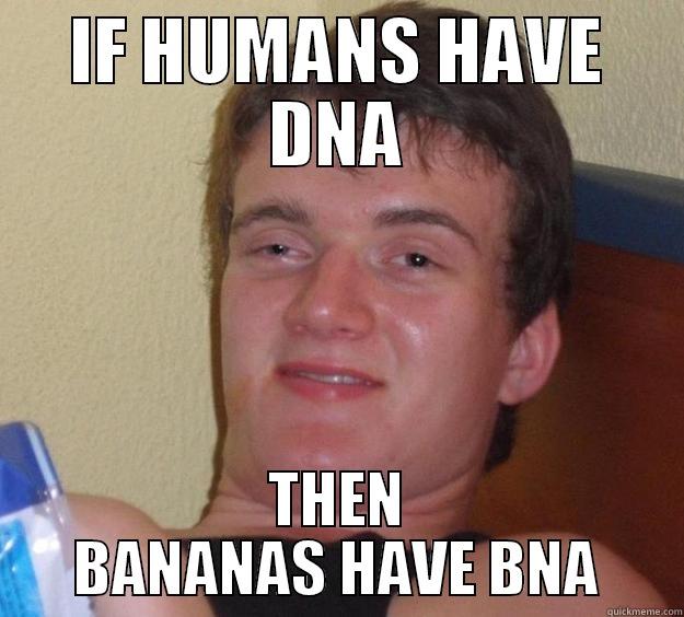 IF HUMANS HAVE DNA THEN BANANAS HAVE BNA 10 Guy