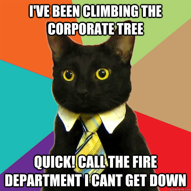 I've been climbing the corporate tree Quick! call the fire department I cant get down  Business Cat