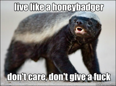 live like a honeybadger don't care, don't give a fuck  
