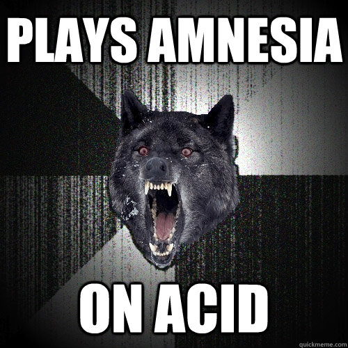 PLAYS AMNESIA ON ACID  Insanity Wolf