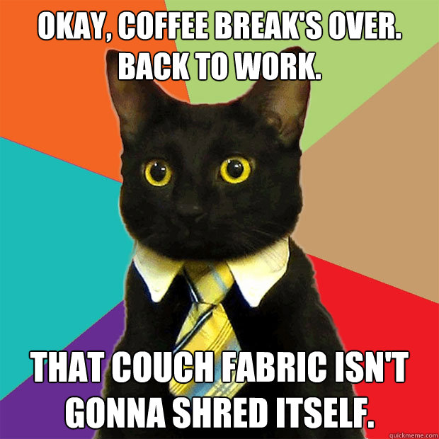 Okay, coffee break's over. Back to work. That couch fabric isn't gonna shred itself.  Business Cat