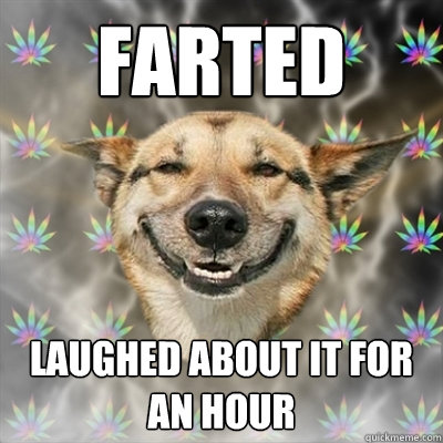 Farted laughed about it for an hour - Farted laughed about it for an hour  Stoner Dog