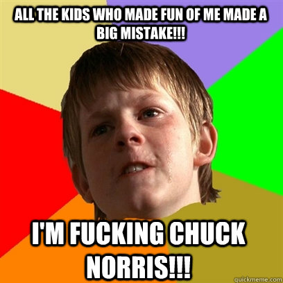 All the kids who made fun of me made a big mistake!!! I'm fucking Chuck Norris!!!  Angry School Boy