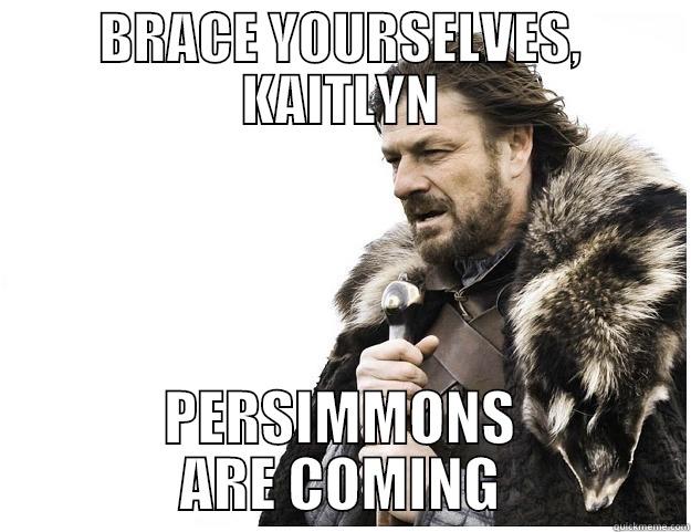 BRACE YOURSELVES, KAITLYN PERSIMMONS ARE COMING Imminent Ned