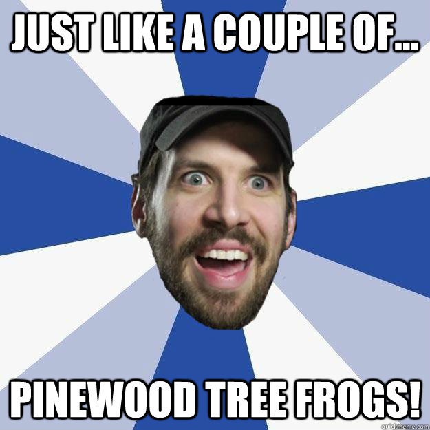 Just like a couple of... PINEWOOD TREE FROGS!  