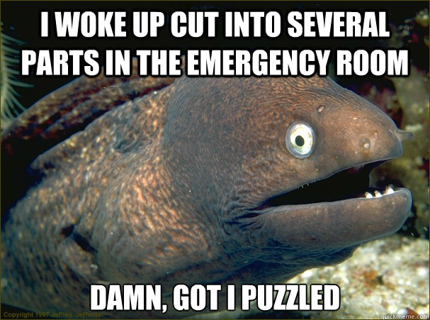 I woke up cut into several parts in the emergency room Damn, got I puzzled  Bad Joke Eel