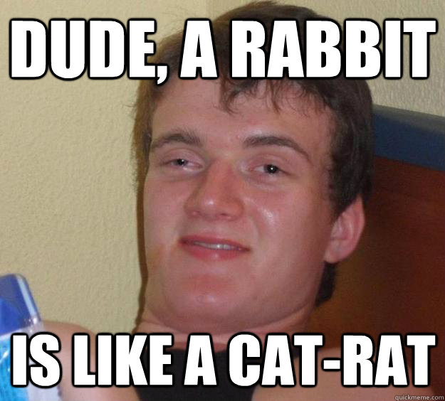 Dude, a rabbit is like a cat-rat - Dude, a rabbit is like a cat-rat  10 Guy