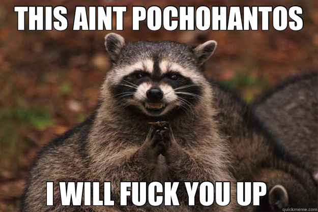 THIS AINT POCHOHANTOS I WILL FUCK YOU UP   Evil Plotting Raccoon