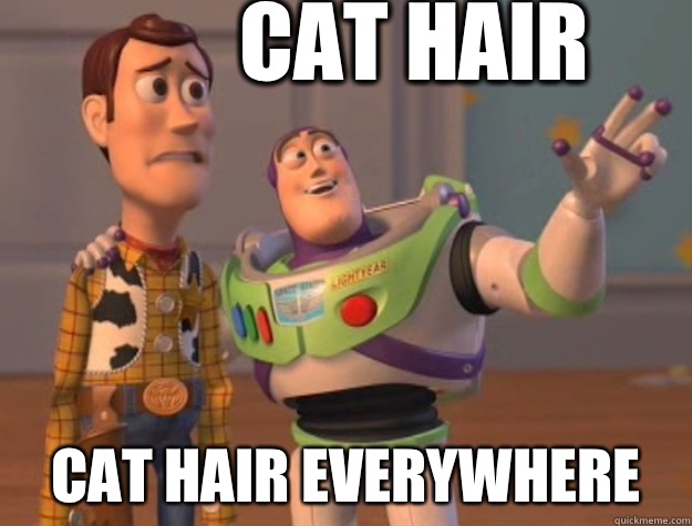 Cat hair Cat hair everywhere  Buzz Lightyear