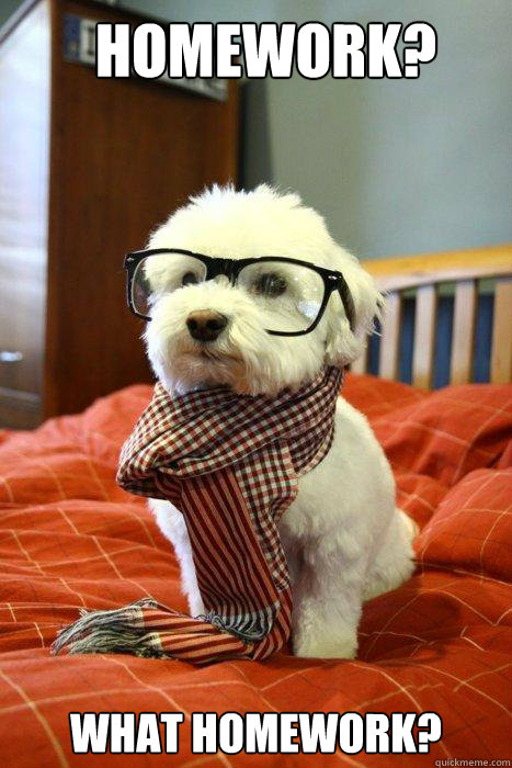 Homework? What homework?  Hipster Dog