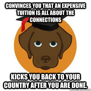 Convinces you that an expensive tuition is all about the connections Kicks you back to your country after you are done.  