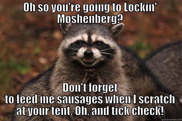 OH SO YOU'RE GOING TO LOCKIN' MOSHENBERG? DON'T FORGET TO FEED ME SAUSAGES WHEN I SCRATCH AT YOUR TENT. OH, AND TICK CHECK! Evil Plotting Raccoon