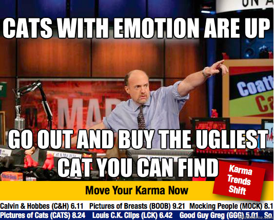 Cats with emotion are up go out and buy the ugliest cat you can find  Mad Karma with Jim Cramer