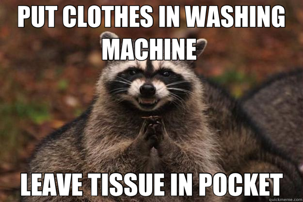 PUT CLOTHES IN WASHING MACHINE  LEAVE TISSUE IN POCKET  Evil Plotting Raccoon