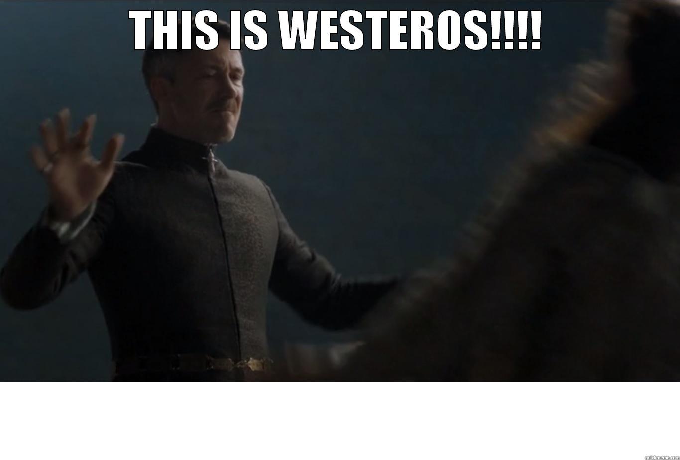 THIS IS WESTEROS!!!!  Misc