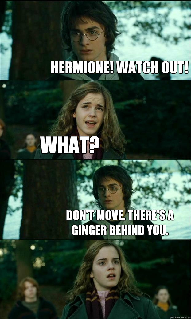 Hermione! Watch out! What? Don't Move. There's a ginger behind you.  Horny Harry