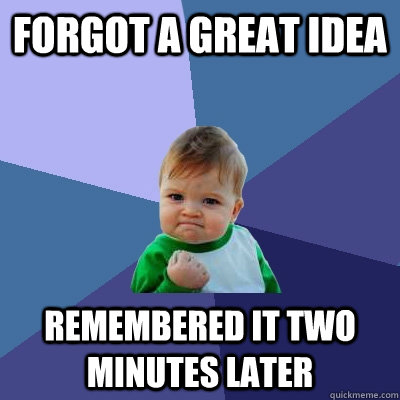 Forgot a great idea remembered it two minutes later  Success Kid