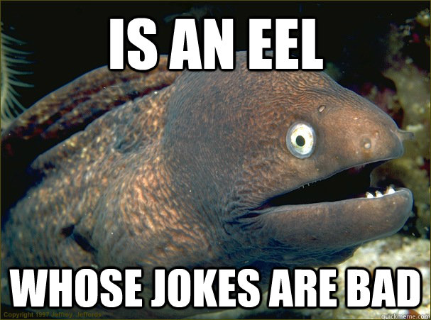 is an eel whose jokes are bad  Bad Joke Eel