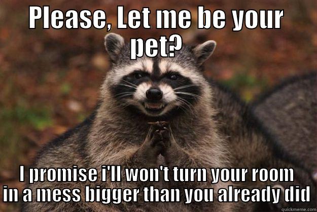 PLEASE, LET ME BE YOUR PET? I PROMISE I'LL WON'T TURN YOUR ROOM IN A MESS BIGGER THAN YOU ALREADY DID Evil Plotting Raccoon