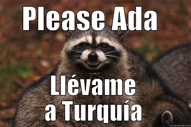 Crazy travel - PLEASE ADA  LLÉVAME A TURQUÍA Evil Plotting Raccoon