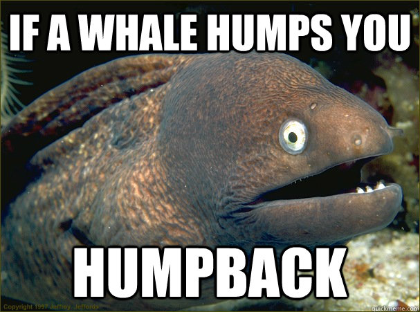 If a whale humps you humpback  Bad Joke Eel