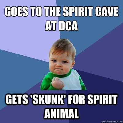 Goes to the Spirit Cave at DCA Gets 'Skunk' for spirit animal  Success Kid