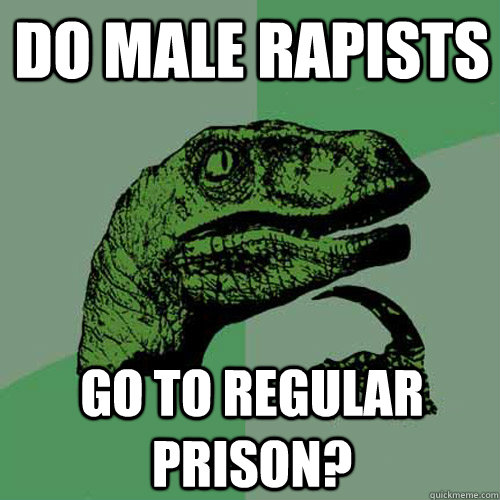 Do male rapists go to regular prison?  Philosoraptor