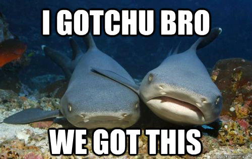 I gotchu Bro We got this - I gotchu Bro We got this  Compassionate Shark Friend