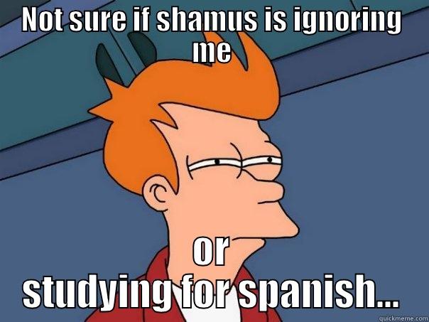 NOT SURE IF SHAMUS IS IGNORING ME OR STUDYING FOR SPANISH... Futurama Fry