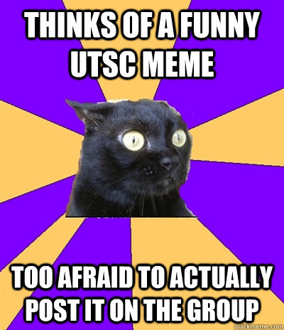 thinks of a funny utsc meme too afraid to actually post it on the group  Anxiety Cat