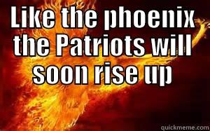 LIKE THE PHOENIX THE PATRIOTS WILL SOON RISE UP HTTPS://WWW.FACEBOOK.COM/AMERICANPHEONIX Misc