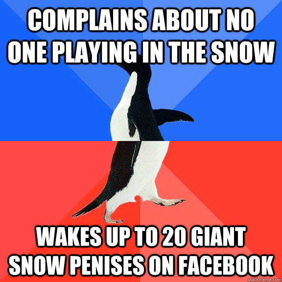 Complains about no one playing in the snow Wakes up to 20 giant snow penises on facebook  Socially Awkward Awesome Penguin