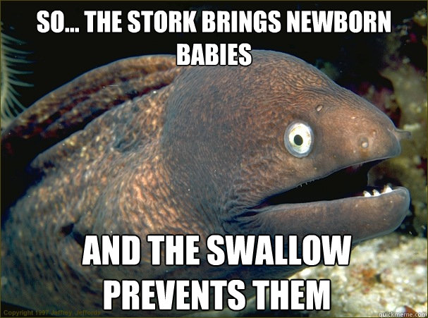 So... The stork brings newborn babies And the swallow prevents them  Bad Joke Eel