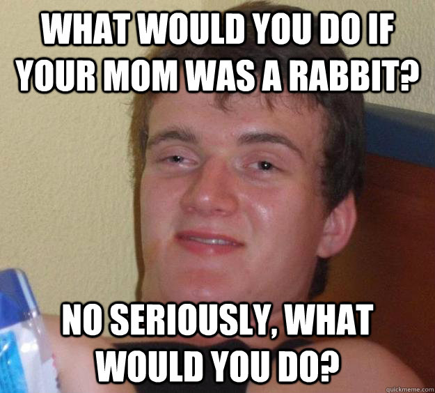 what would you do if your mom was a rabbit? no seriously, what would you do?  10 Guy