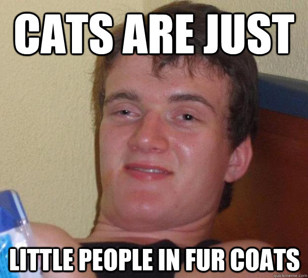 Cats are just Little People in fur coats - Cats are just Little People in fur coats  10 Guy